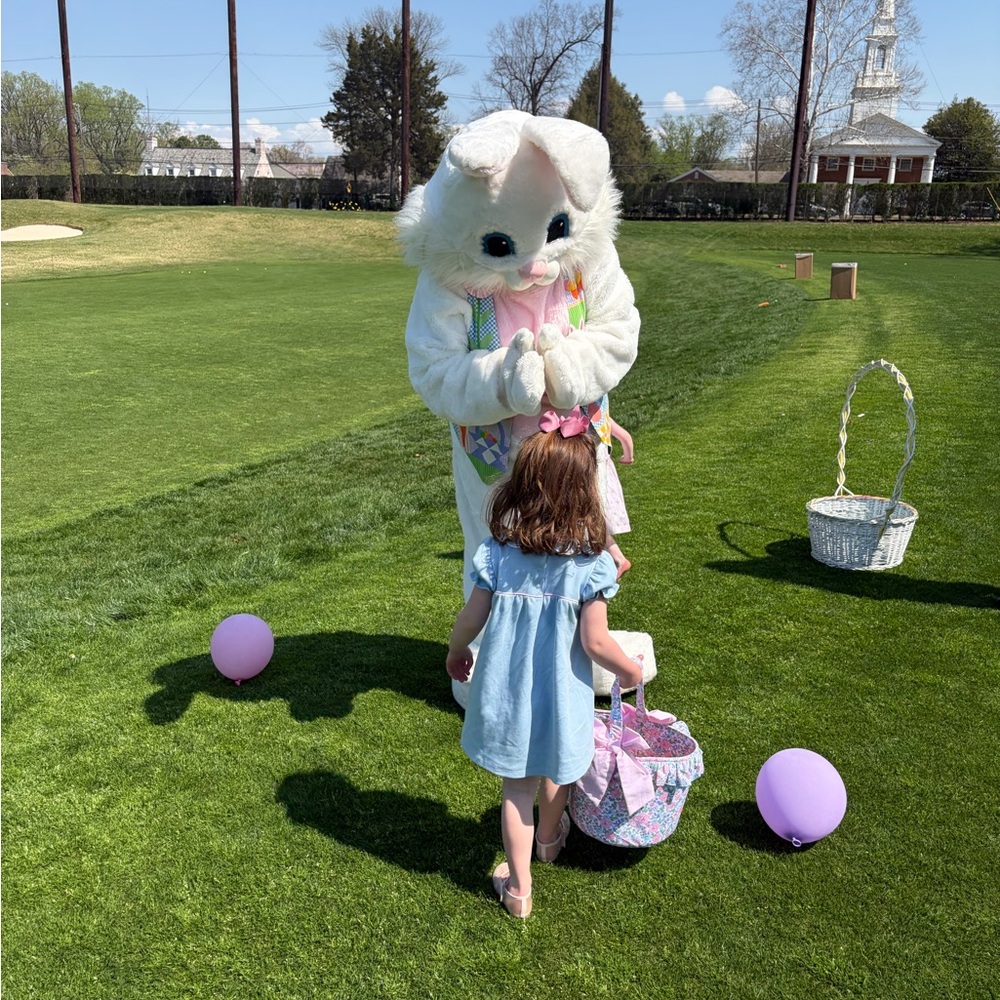 The Beaufort Bonnet Company Light Blue Easter Bunny Dress - Picture 4 of 5